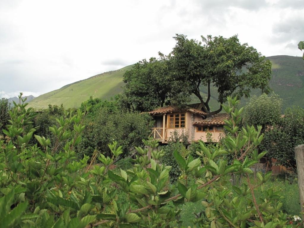 Casa De Aida Appartement Calca Buitenkant foto