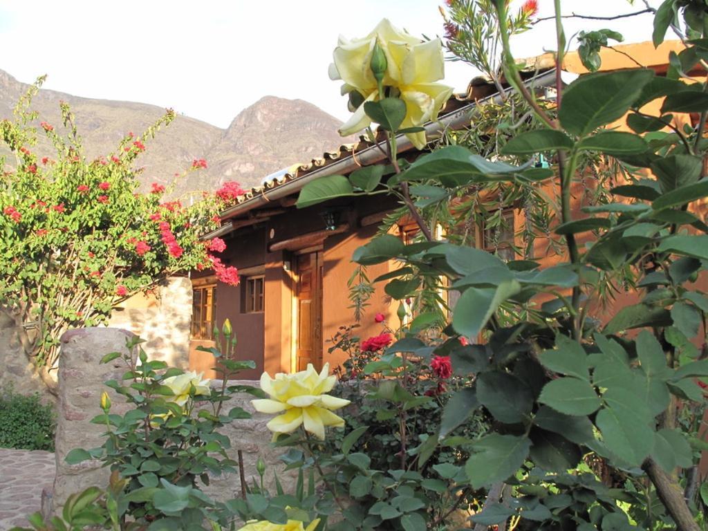 Casa De Aida Appartement Calca Buitenkant foto