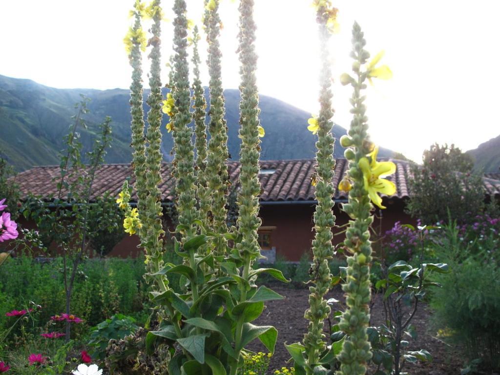 Casa De Aida Appartement Calca Buitenkant foto