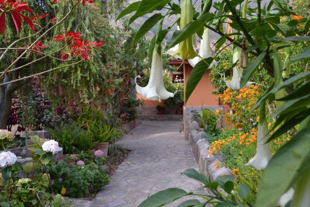 Casa De Aida Appartement Calca Buitenkant foto